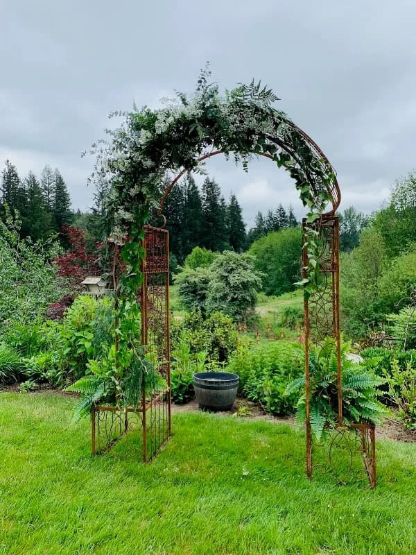 Bear Creek Meadows Weddings and Events photo 2