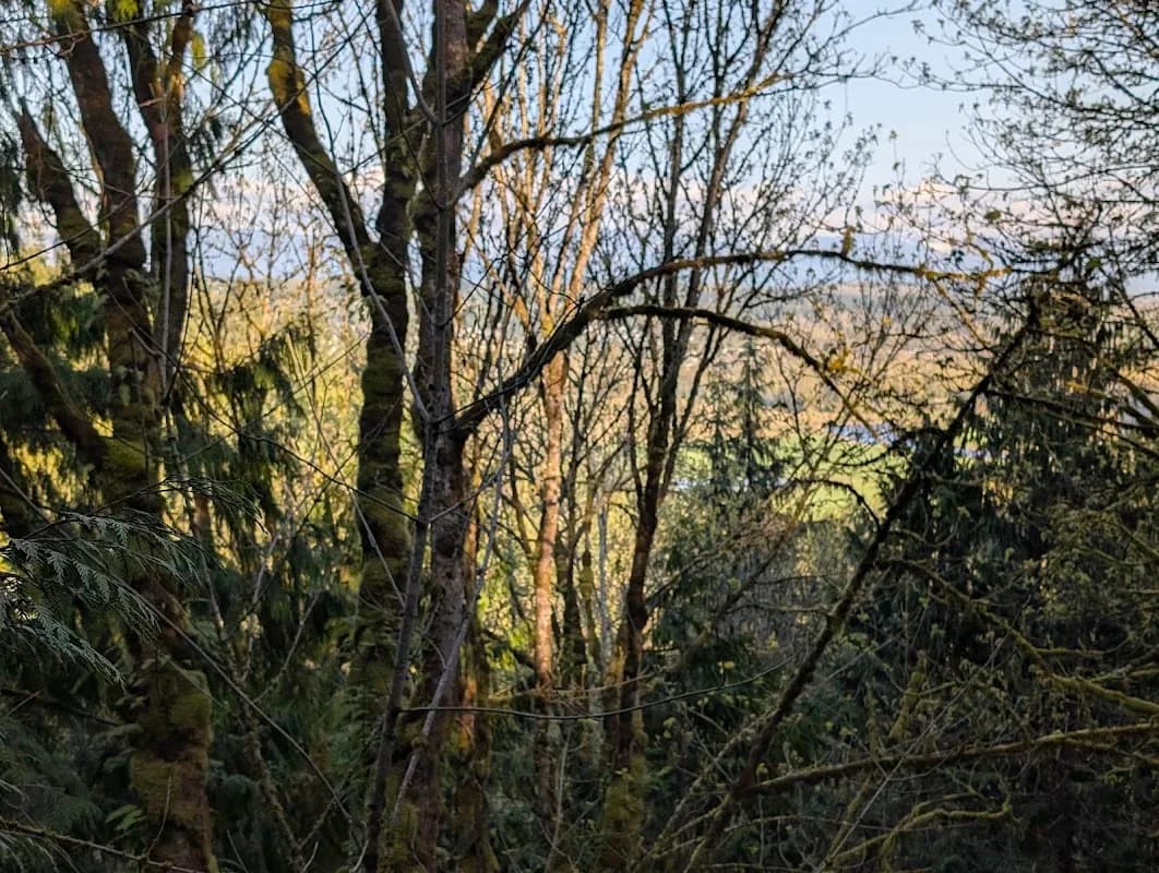 Bear Point Trail photo 2