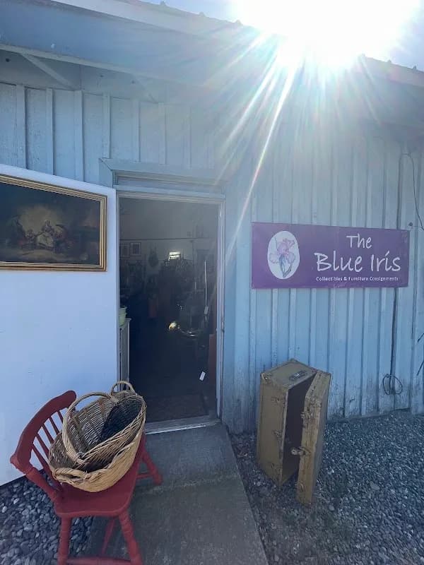 Blue Iris Vintage