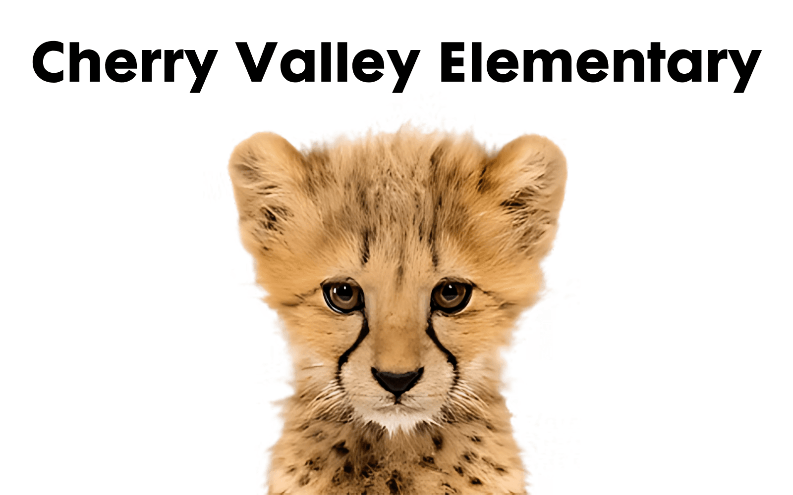 Cherry Valley Elementary School