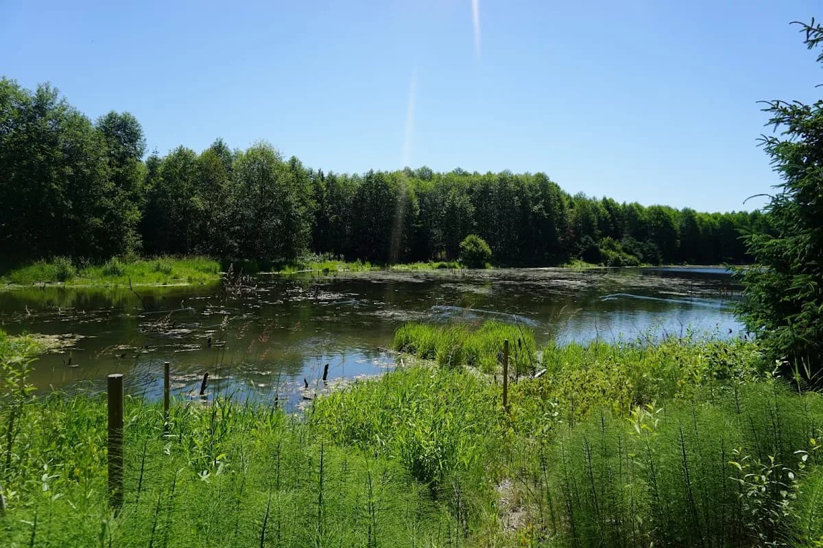 Chinook Bend Natural Area