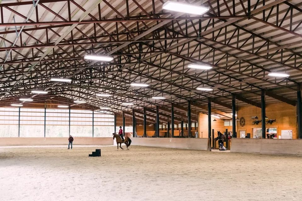 Common Ground Stables photo 2