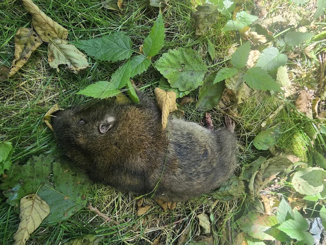 Footprints Wildlife Rehabilitation Center