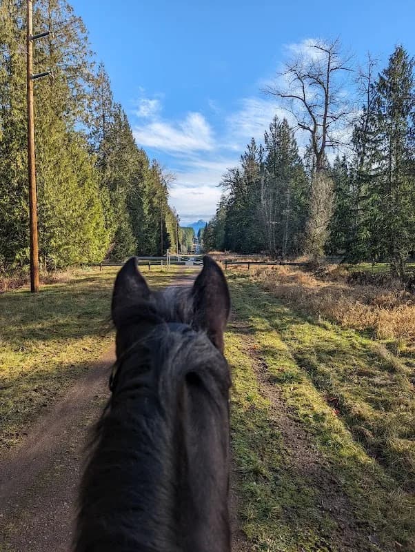 Full Gallop Eventing