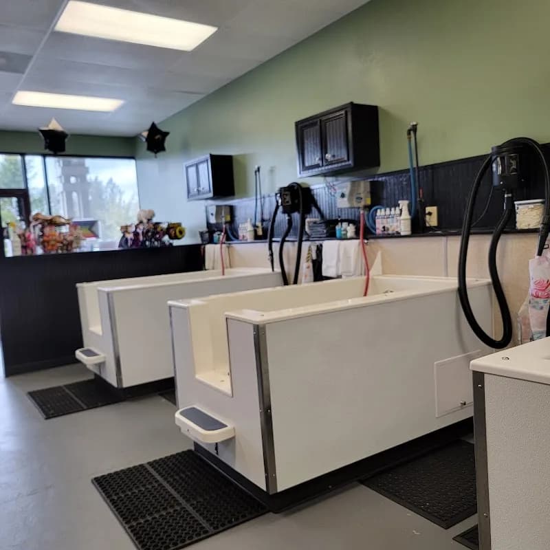 Good Karma Dog Spa