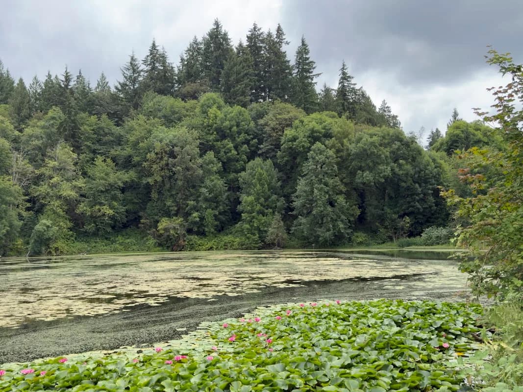 Lake Rasmussen Park
