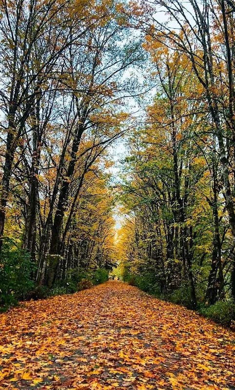 Nick Loutsis Park