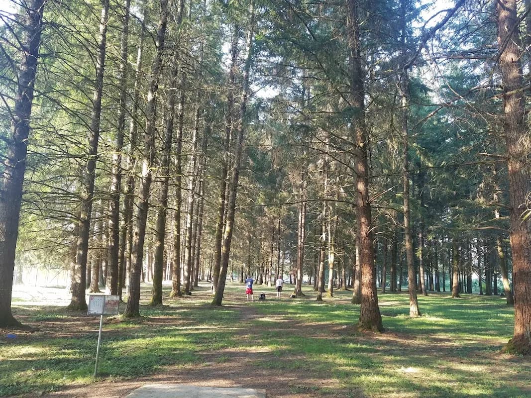 Nick Loutsis Park photo 2