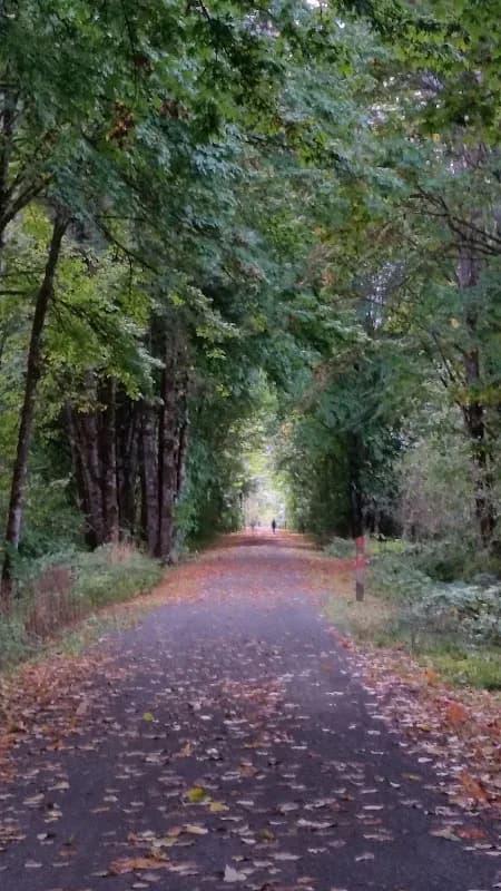 Nick Loutsis Park photo 3