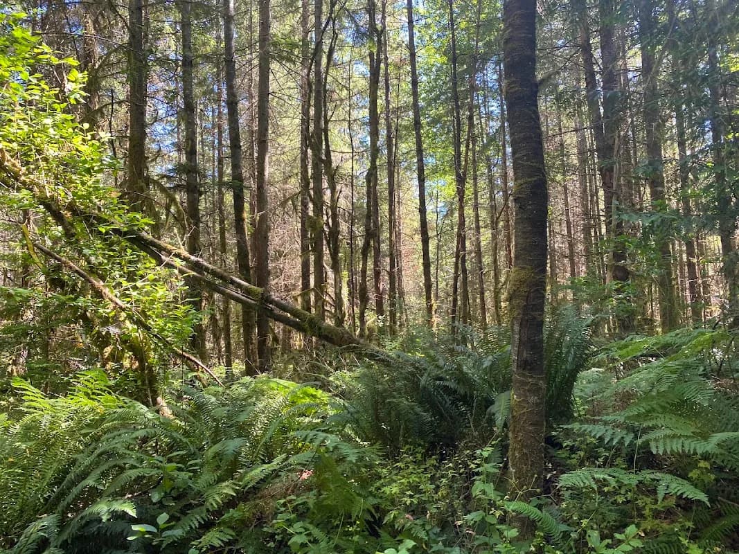 Paradise Valley Conservation Area Parking and Trail Head