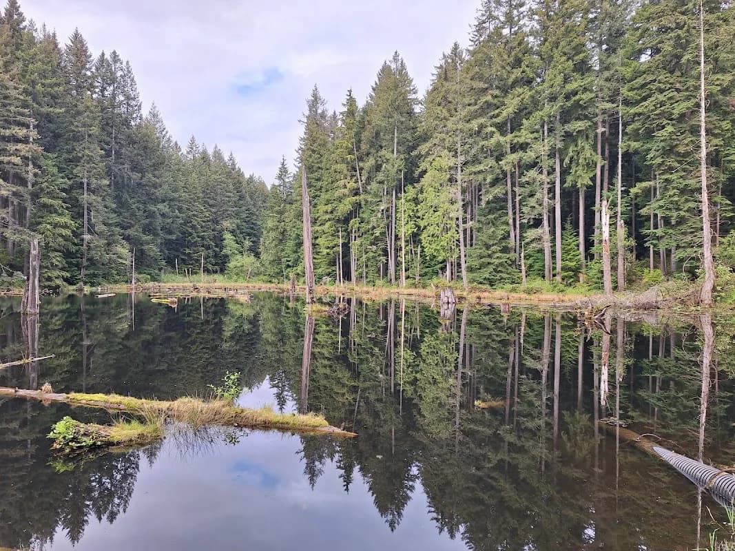 Redmond Watershed Preserve photo 2