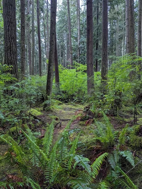 Redmond Watershed Preserve photo 3