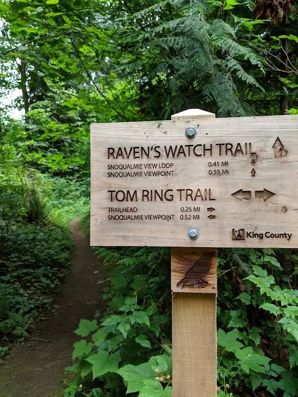 Ring Hill Forest photo 3