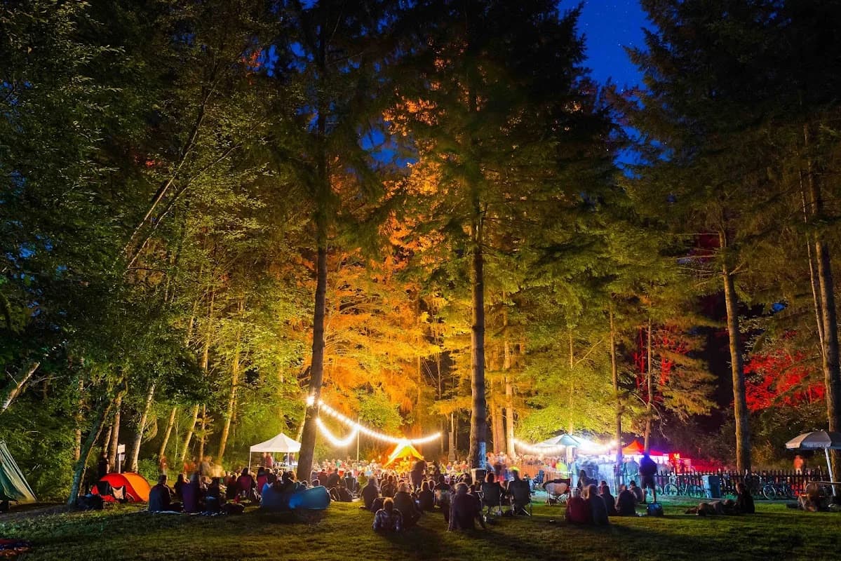 Timber! Outdoor Music Festival