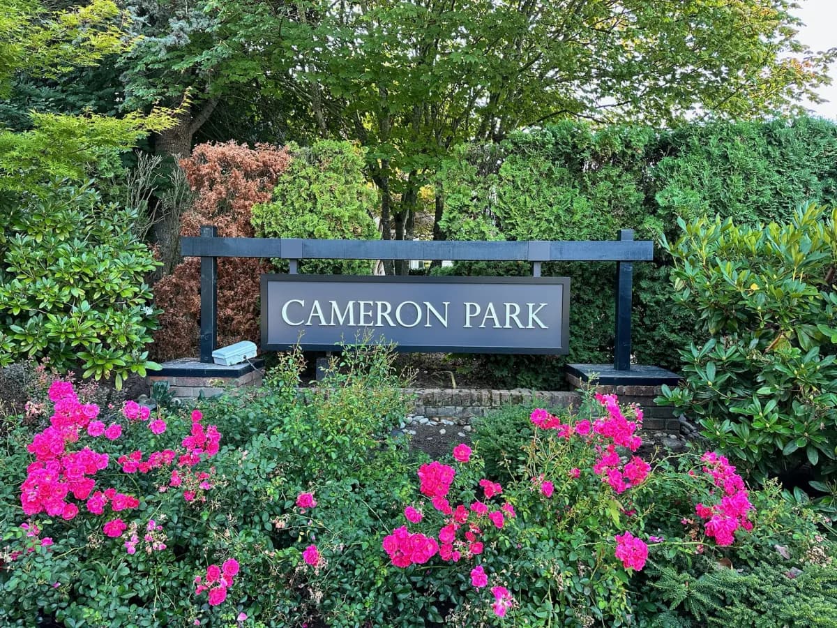 Cameron Park entry sign surrounded by vibrant pink roses in Duvall WA