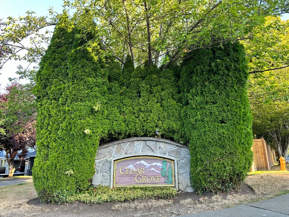 Cedar Grove stone and timber entry sign with mountain artwork surrounded by towering cedars in Duvall WA