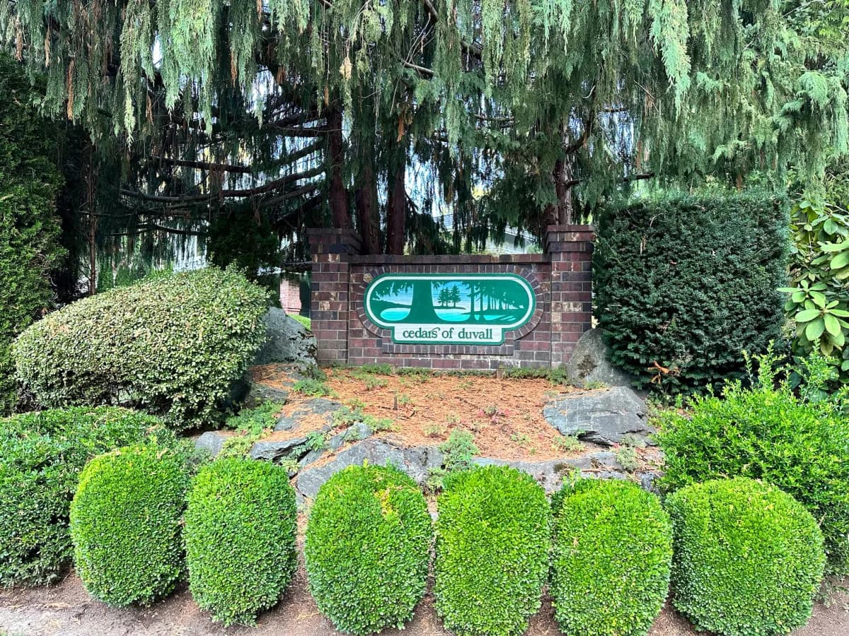 Cedars of Duvall classic green emblem sign in brick column framed by weeping cedars in Duvall WA