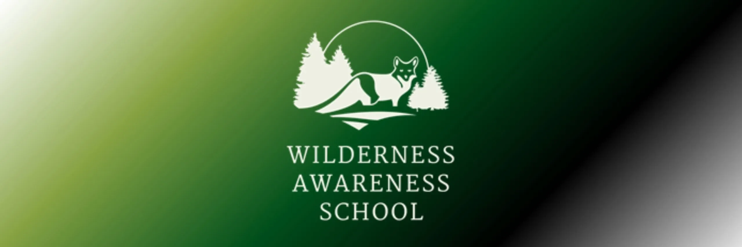 Wilderness Awareness School photo 5