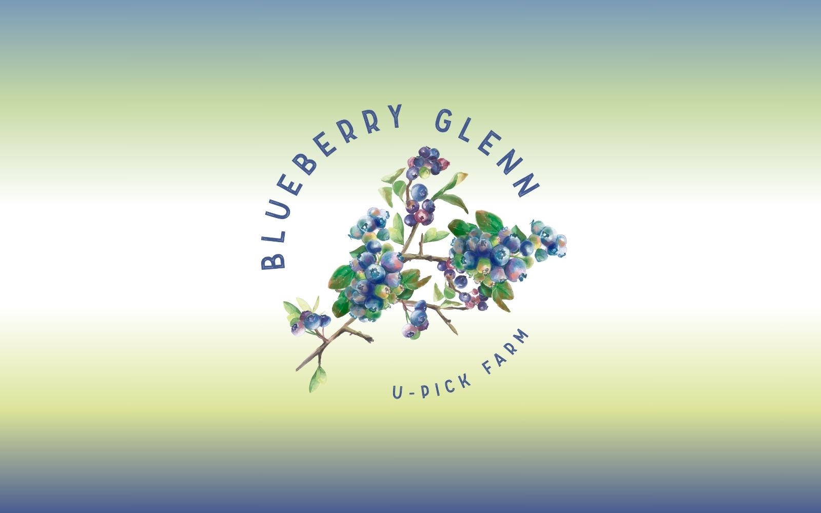 Blueberry Glenn