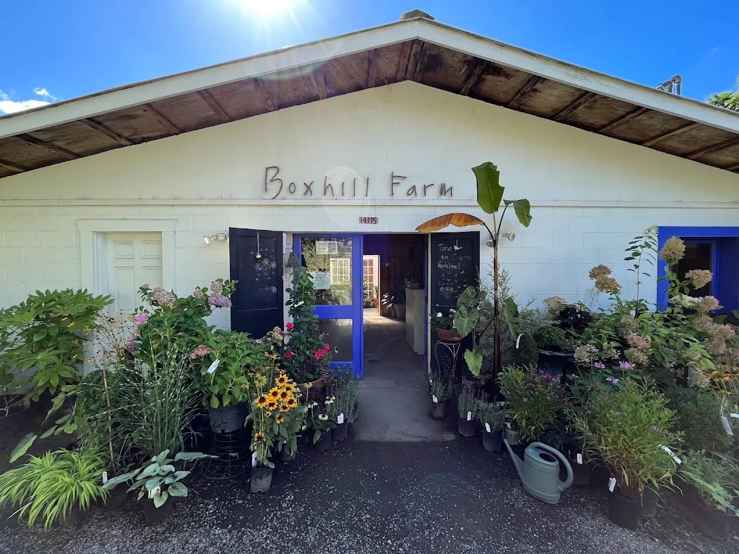 Boxhill Farm & Nursery