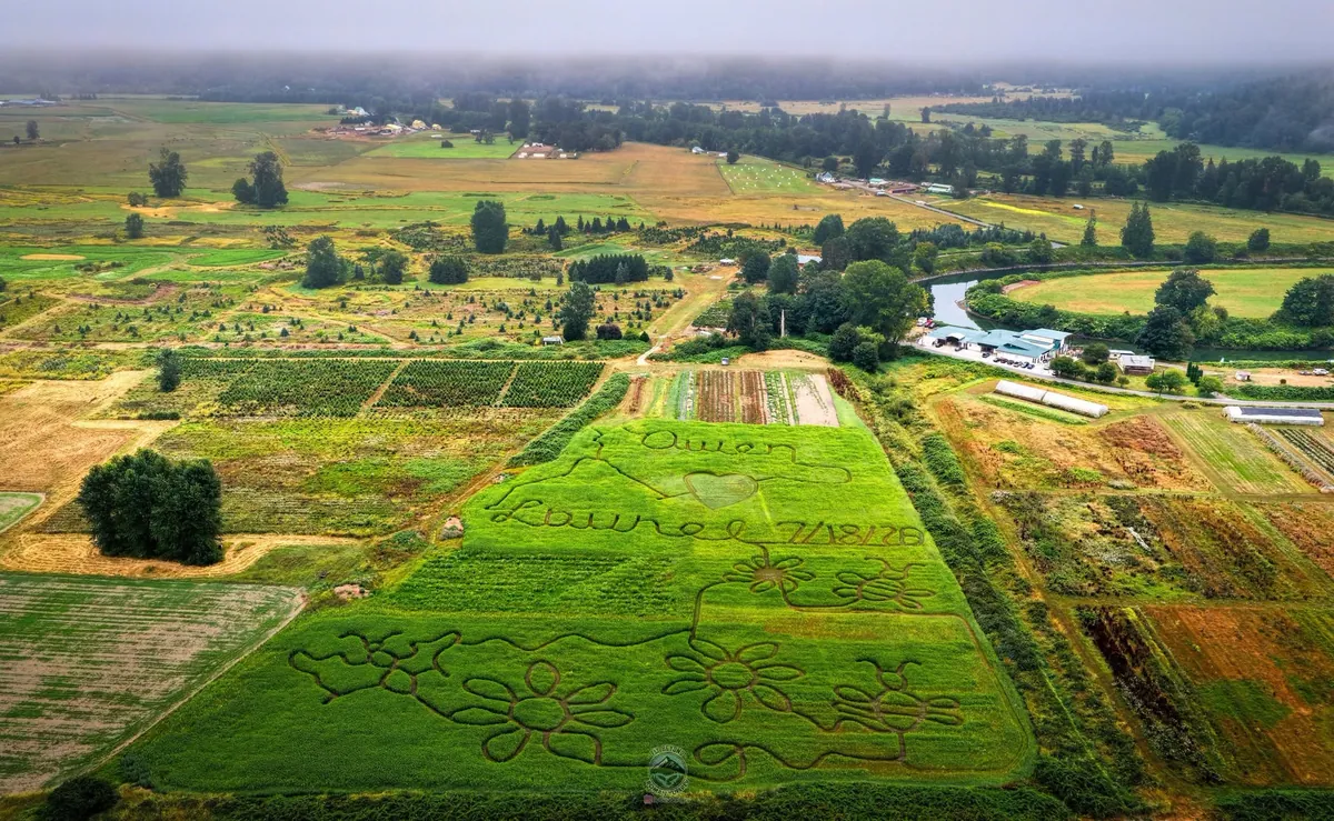 Lora Lee's Family Farm