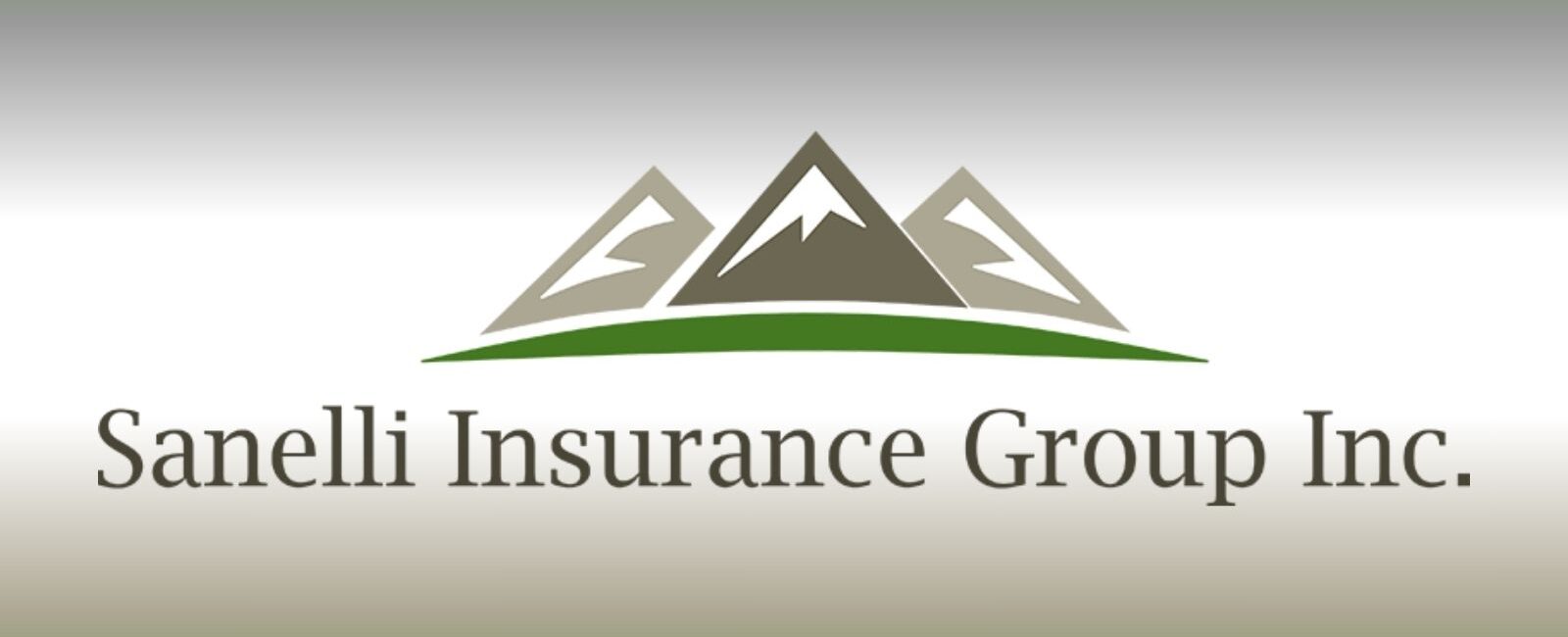 Sanelli Insurance Group Inc Duvall Washington