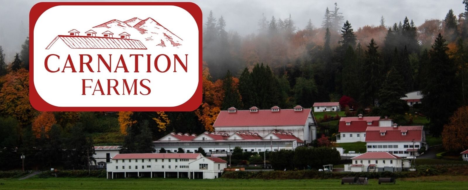 Carnation Farms Carnation Washington