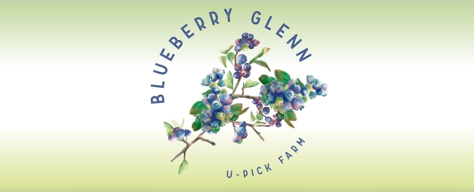 Blueberry Glenn U-Pick Farm Duvall Washington