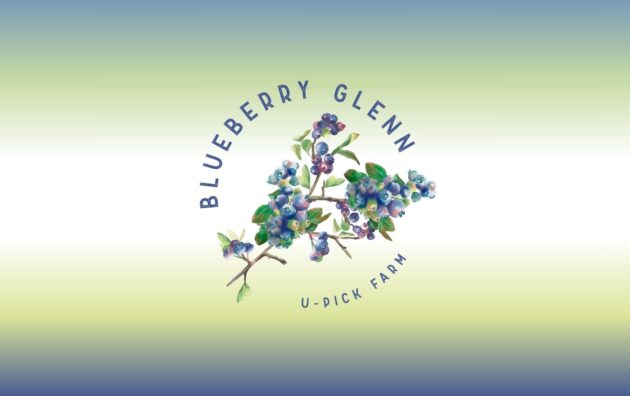 Blueberry Glenn U-Pick Farm Duvall Washington