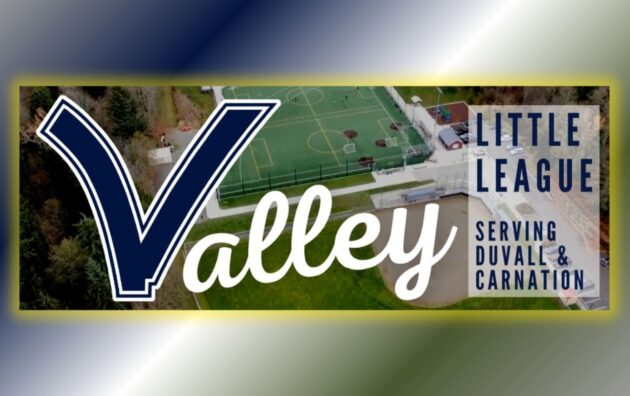 Valley Little League Duvall Carnation Washington