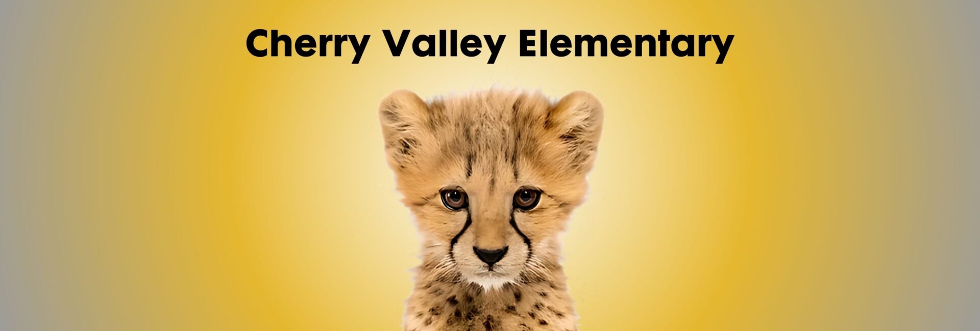 Cherry Valley Elementary Cheetahs Duvall Washington