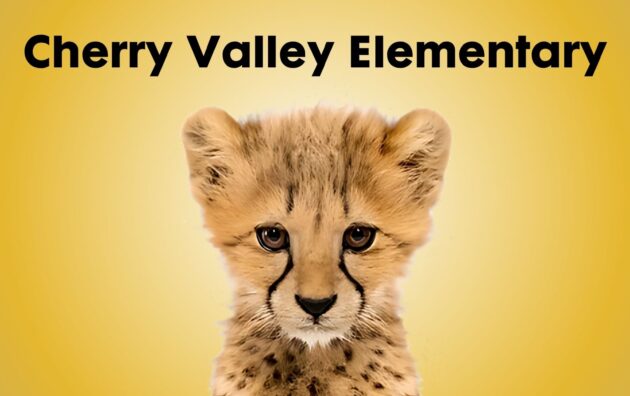 Cherry Valley Elementary Cheetahs Duvall Washington