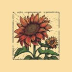 Snoqualmie Valley Sunflower Festival Duvall Washington