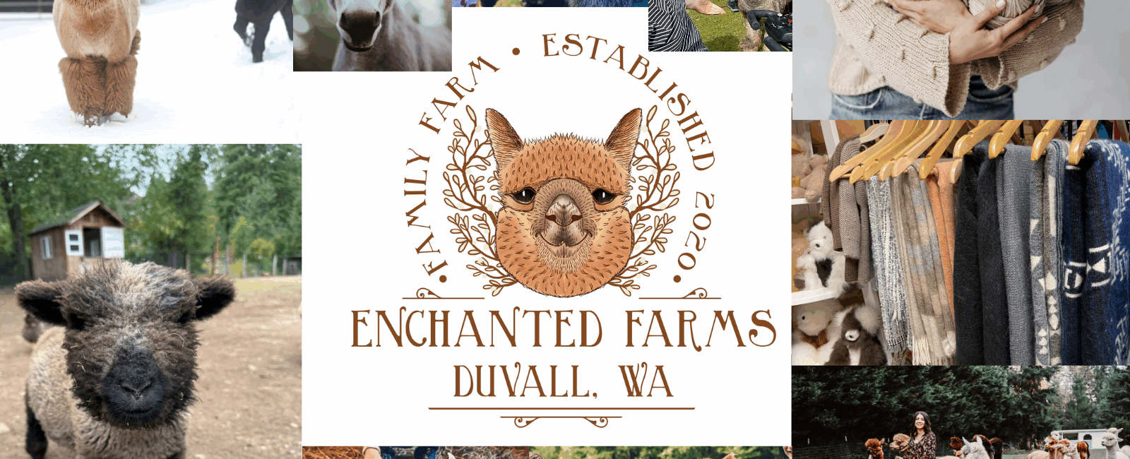Enchanted Farms Banner 1600 x 1000