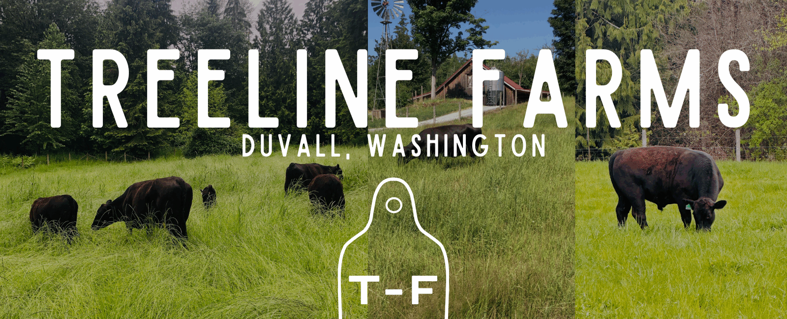 Treeline Farms Duvall, WA
